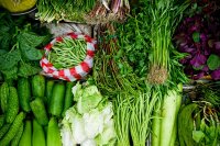Is magnesium echt zo goed als iedereen beweert?